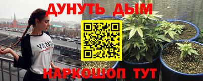 крисы Гусев