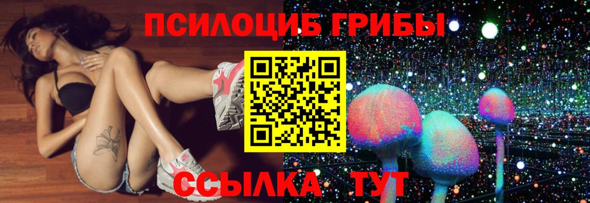 Галлюциногенные грибы Psilocybine cubensis Бугуруслан